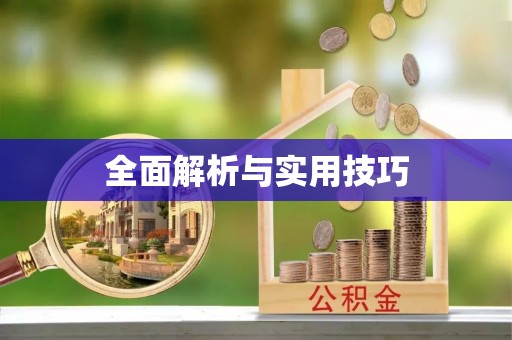 肃北全面解析与实用技巧